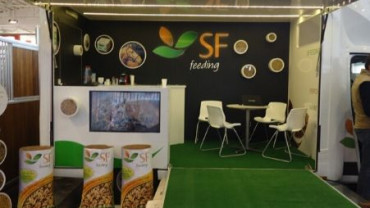 SF FEEDING